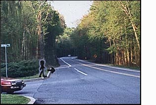 The figure/person on the corner faces a 3-lane residential highway with woods on both sides. To the person's left (east) the street is straight and visible for about a block.