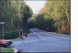 The figure/person on the corner faces a 3-lane residential highway with woods on both sides.  To the person's left (east) the street is straight and visible for about a block.