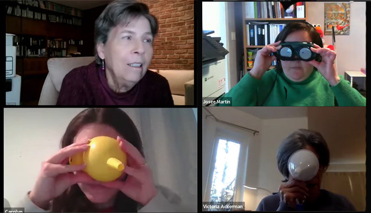 Picture shows a screenshot from a zoom meeting with Dona and 3 participants who are each looking through a vision simulator or a funnel.