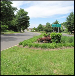We are standing on a grassy median about 20 feet wide, looking toward our right at the 3-lane street.  The street bends to the left and the two far lanes disappear behind some trees, then the street turns to the right and we can see all 3 lanes again for about 40 feet before they disappear altogether.