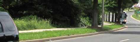 6 photos show a car and a bus approaching from where the street disappears.  The car stays in the nearest lane so we never lose sight of it, but the bus is in the farthest lane and it disappears behind the trees, then appears again when it is about 50 feet from us.