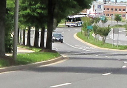 6 photos show a car and a bus approaching from where the street disappears.  The car stays in the nearest lane so we never lose sight of it, but the bus is in the farthest lane and it disappears behind the trees, then appears again when it is about 50 feet from us.